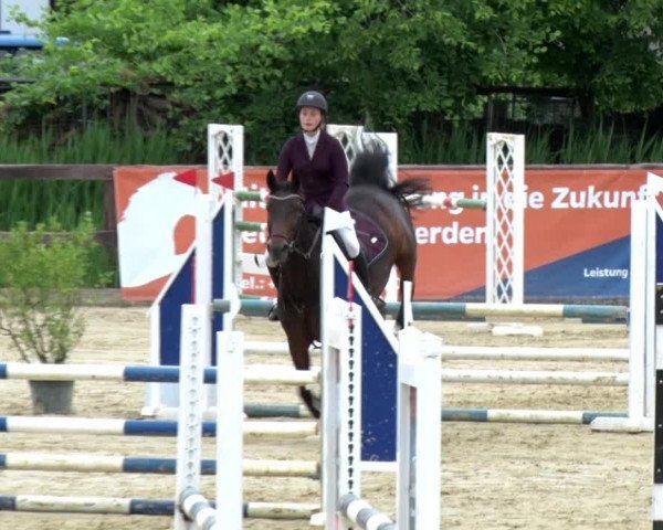 Reitturnier Schönfeld 2021