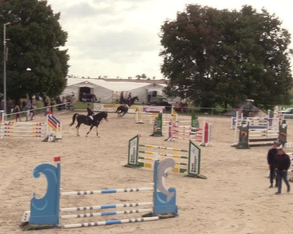 Springreitturnier Hohburg 2021