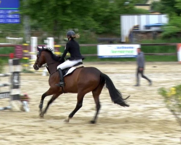 Reitturnier Schönfeld 2021