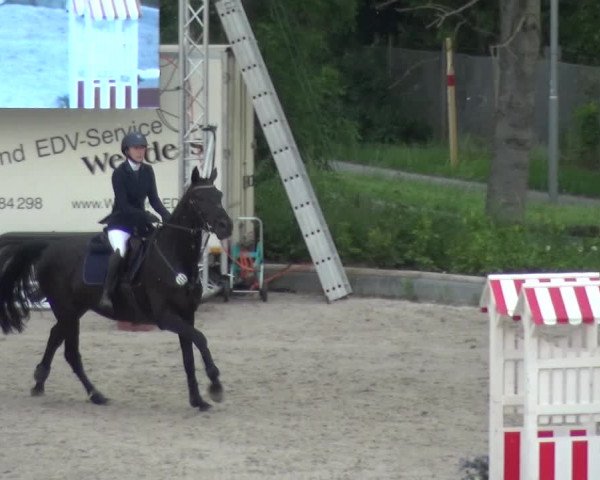 Reitturnier Monheim - Gut Blee 2021