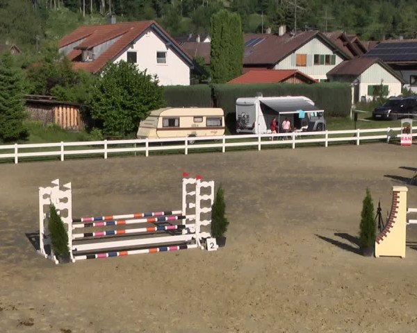 Reitturnier - Leutkirch-Diepoldshofen 2021