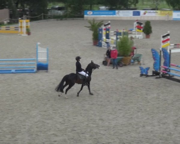 Reitturnier Monheim - Gut Blee 2021