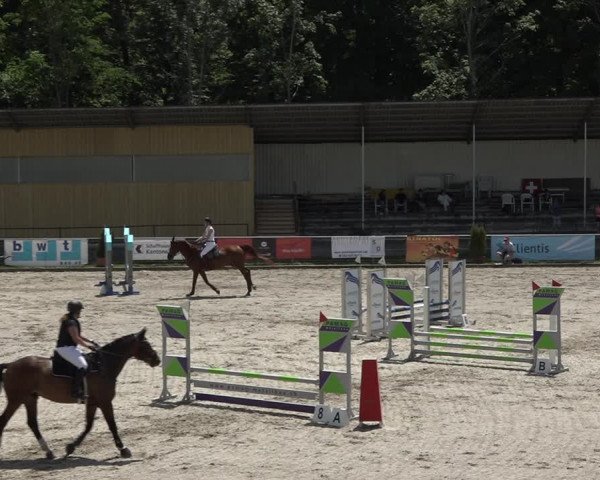 Reitturnier Schaffhausen 2021