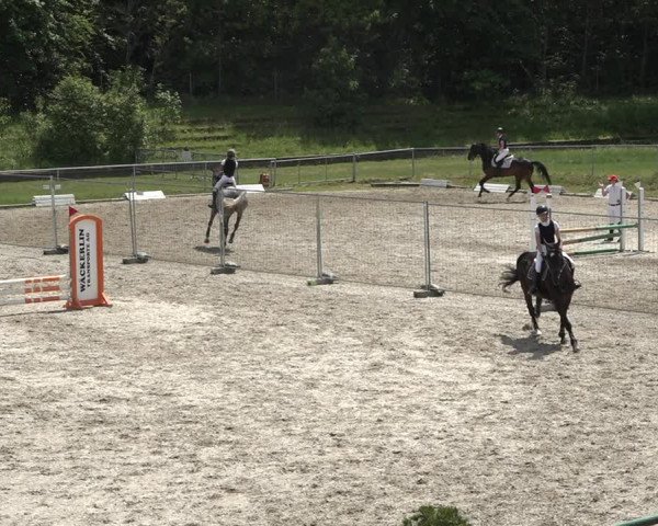Reitturnier Schaffhausen 2021