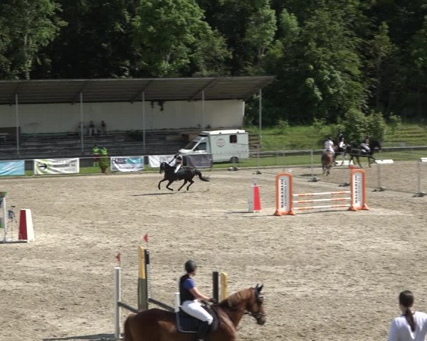 Reitturnier Schaffhausen 2021