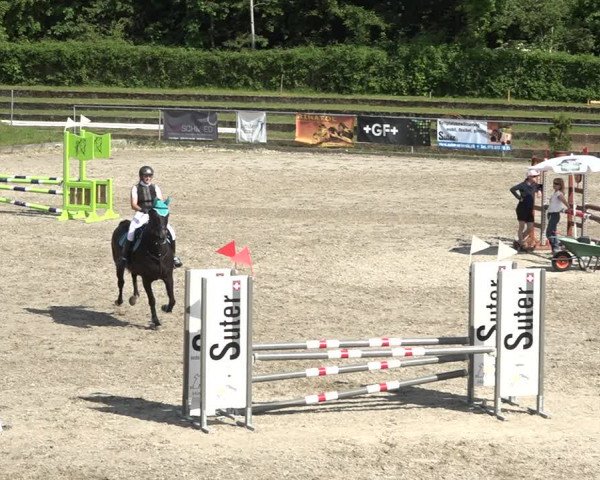 Reitturnier Schaffhausen 2021