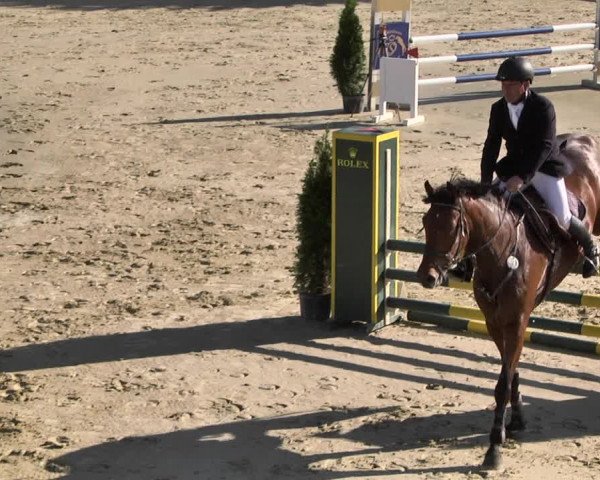 Reitturnier - Leutkirch-Diepoldshofen 2021