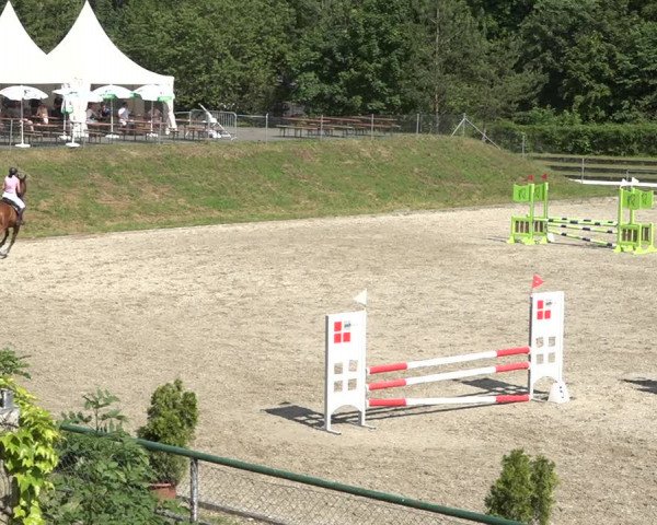 Reitturnier Schaffhausen 2021
