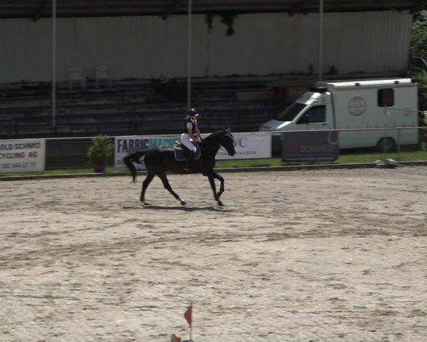 Reitturnier Schaffhausen 2021