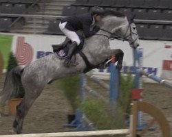 jumper Castello 187 (Holsteiner, 2006, from Cassini I)