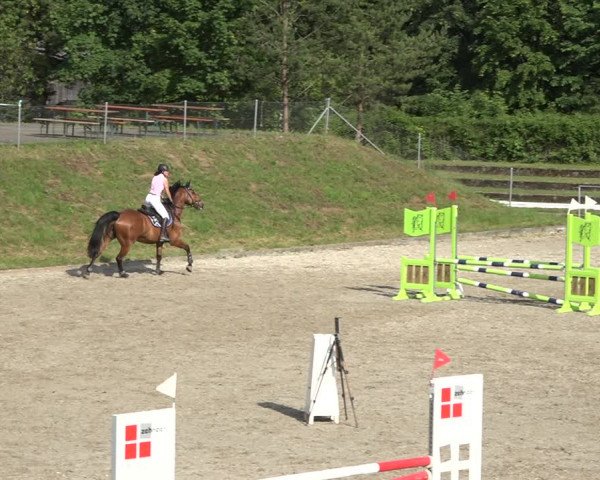 Reitturnier Schaffhausen 2021