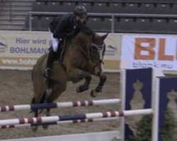 jumper Louis Vuitton 22 (Hungarian Warmblood, 2008, from Lux V)