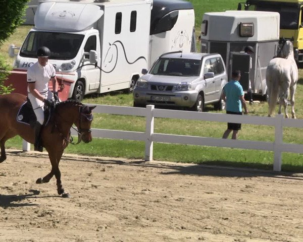 Reitturnier - Leutkirch-Diepoldshofen 2021
