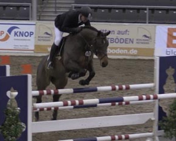 jumper Costa Rica 56 (Hanoverian, 2008, from Comte)