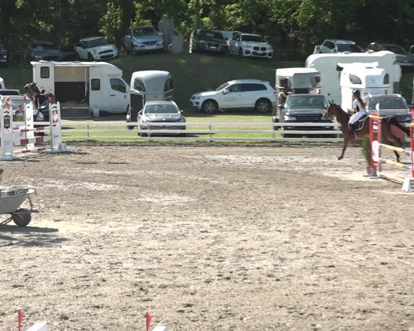 Reitturnier Aesch bei Neftenbach 2021