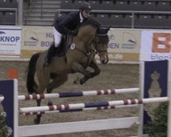 jumper Lumbumbo (Hanoverian, 2008, from Ludwig von Bayern 168 FIN)