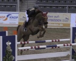 broodmare Pia Lotta 15 (Hanoverian, 2008, from Perigueux)