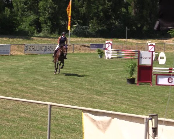 Reitturnier Reitstadion Löbnitz 2021