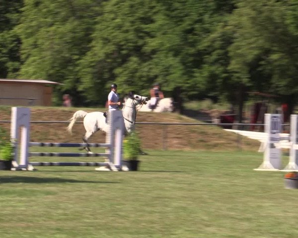 Reitturnier Reitstadion Löbnitz 2021