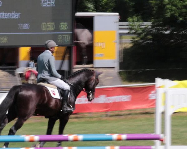 Reitturnier Nienburg 2021