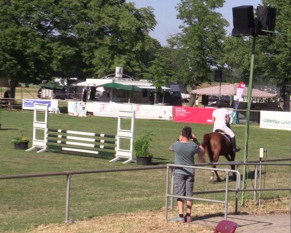 Reitturnier Reitstadion Löbnitz 2021
