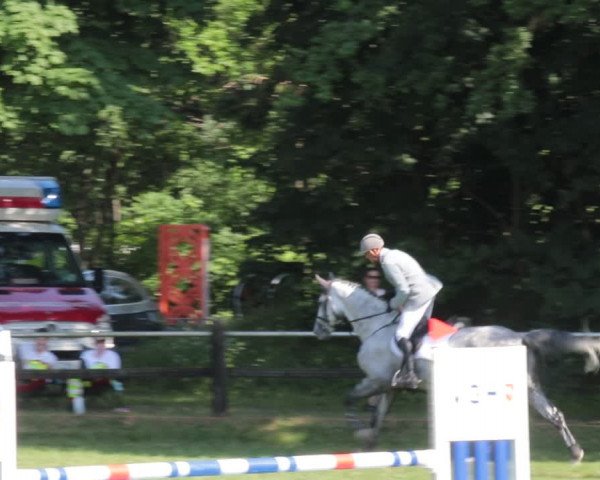 Reitturnier Nienburg 2021
