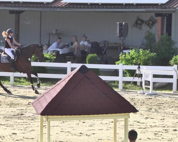 Reitturnier - Leutkirch-Diepoldshofen 2021