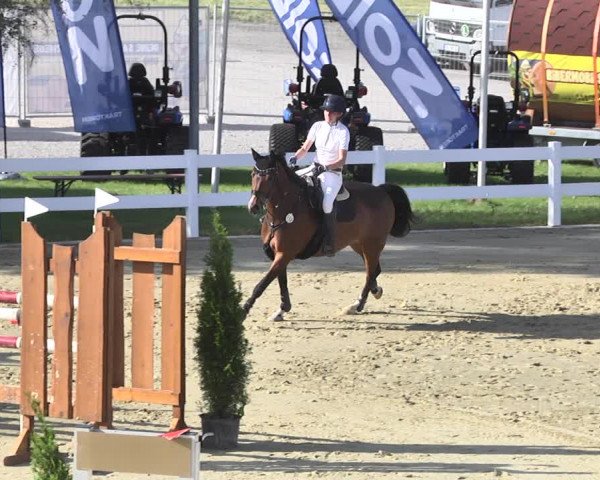Reitturnier - Leutkirch-Diepoldshofen 2021