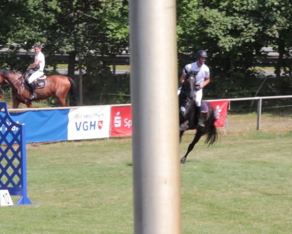Reitturnier Nienburg 2021