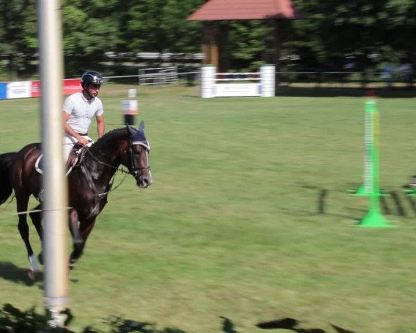Reitturnier Nienburg 2021