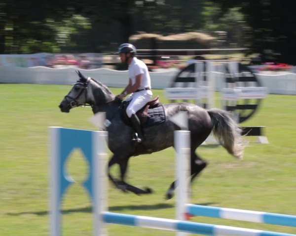 Reitturnier Nienburg 2021