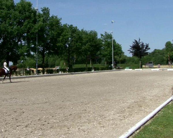 Reitturnier Fröndenberg 2021