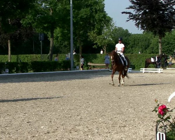 Reitturnier Fröndenberg 2021