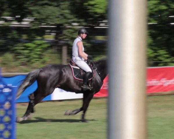 Reitturnier Nienburg 2021