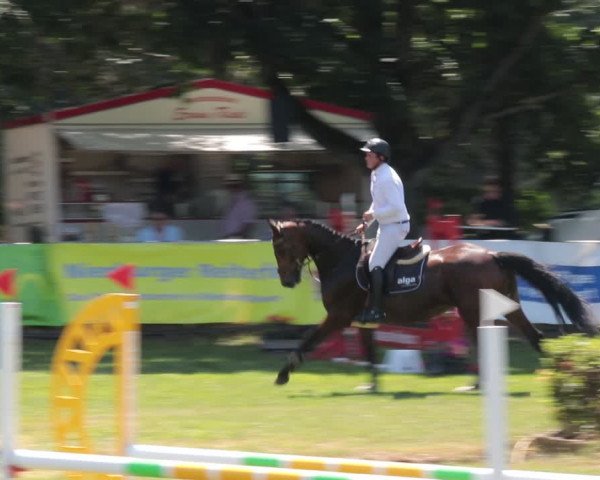 Reitturnier Nienburg 2021