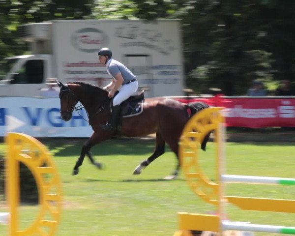 Reitturnier Nienburg 2021
