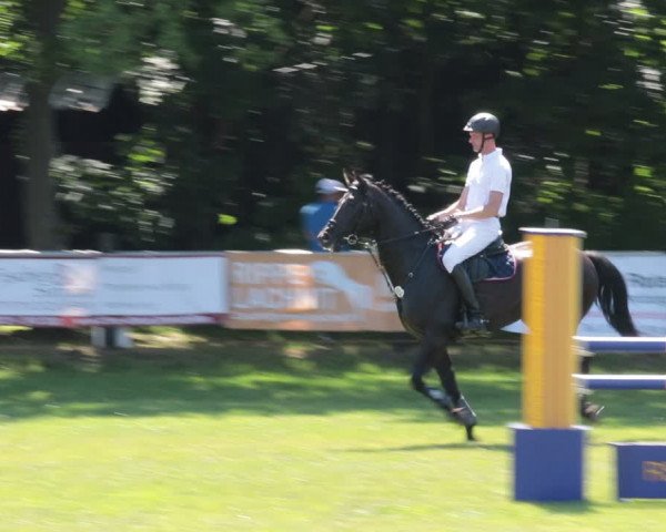 Reitturnier Nienburg 2021