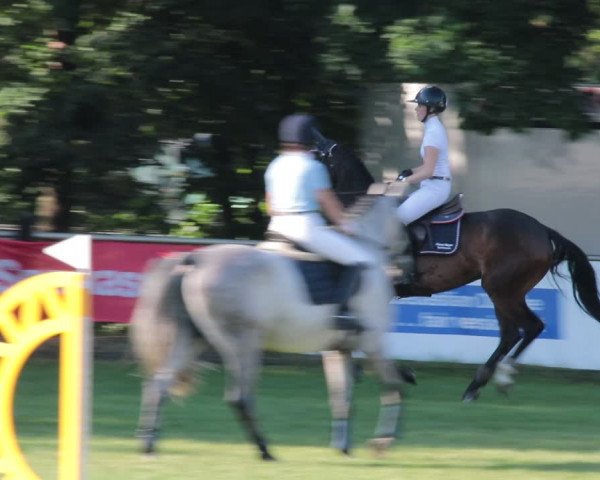 Reitturnier Nienburg 2021