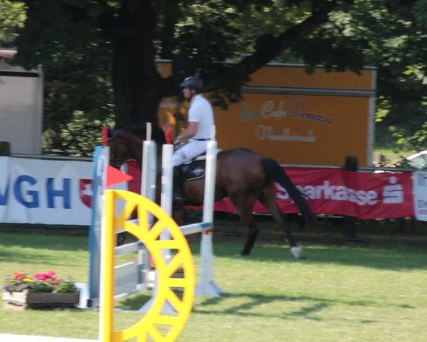 Reitturnier Nienburg 2021