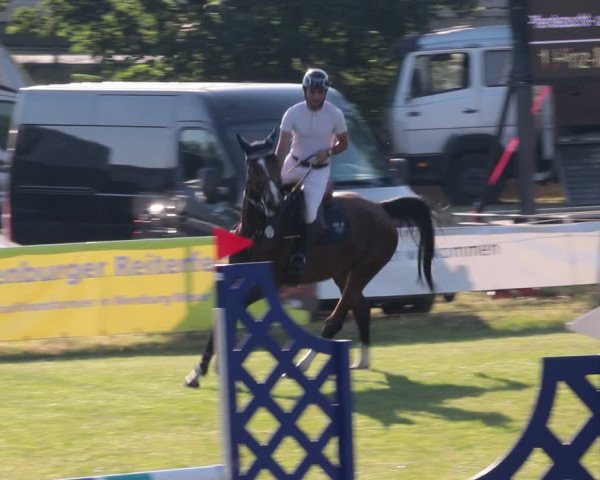 Reitturnier Nienburg 2021