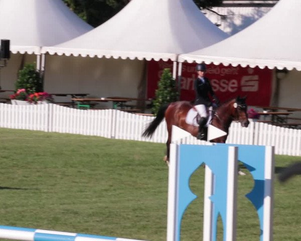 Reitturnier Nienburg 2021