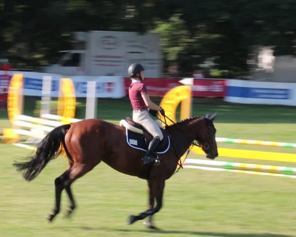 Reitturnier Nienburg 2021