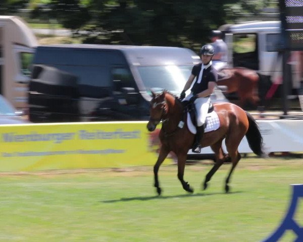 Reitturnier Nienburg 2021