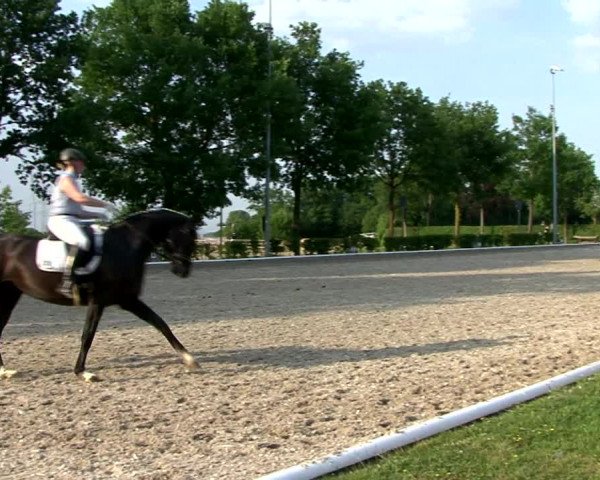 Reitturnier Fröndenberg 2021