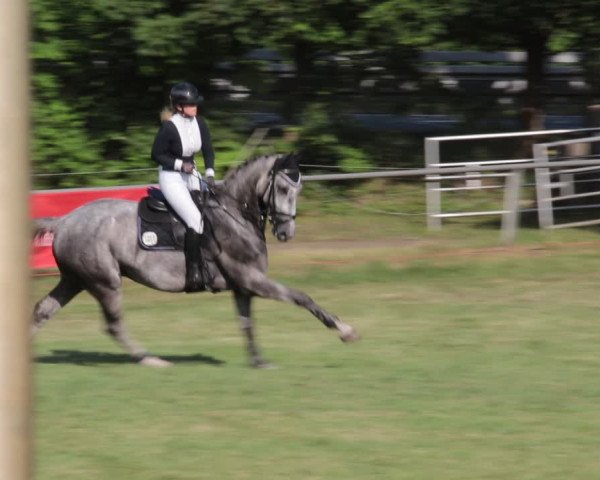 Reitturnier Nienburg 2021