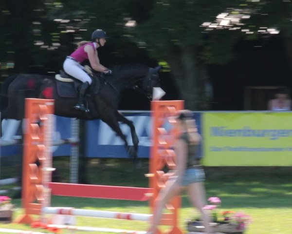 Reitturnier Nienburg 2021