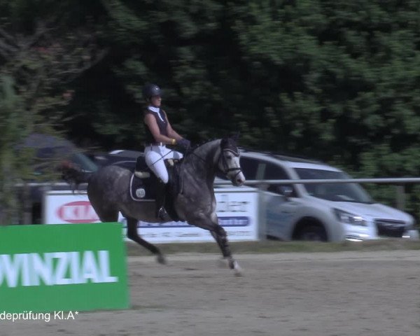 Reitturnier Coesfeld/Lette 2021
