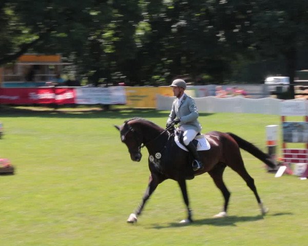 Reitturnier Nienburg 2021