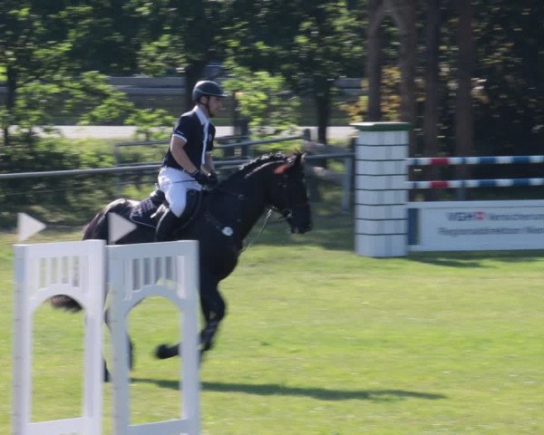 Reitturnier Nienburg 2021