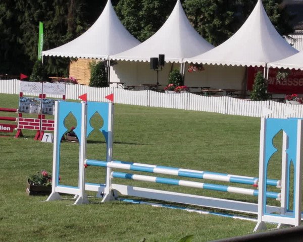 Reitturnier Nienburg 2021